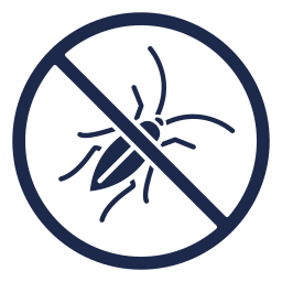 insect 2