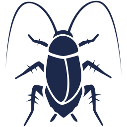 insect