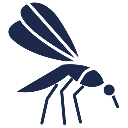 mosquito