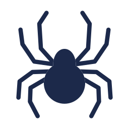 spider